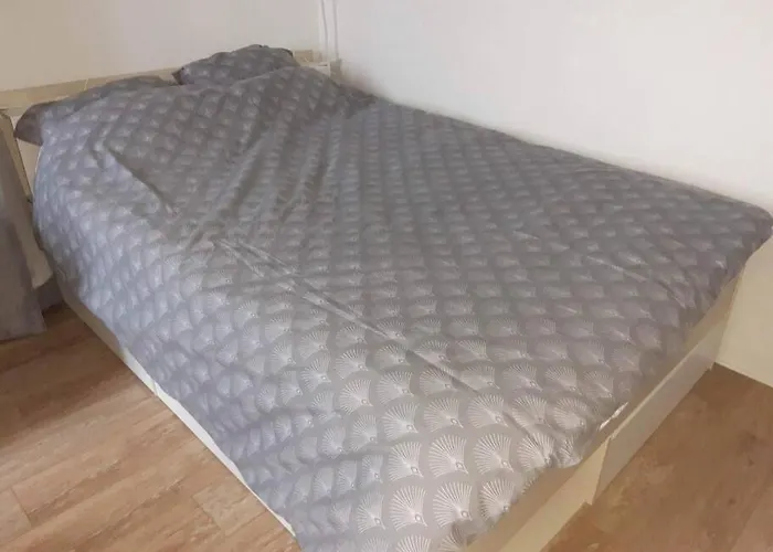 Bouga Inville Vue Sur Et Chateau * Брест